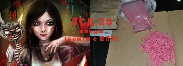 прущие грибы Абинск