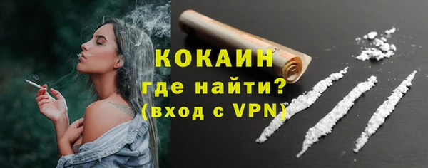 прущие грибы Абинск