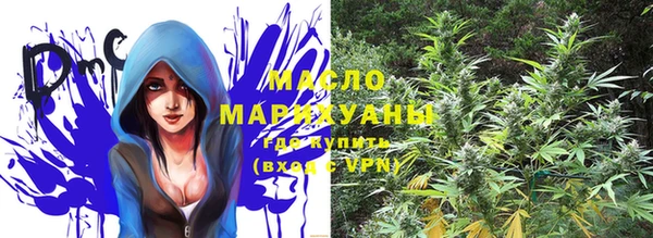 прущие грибы Абинск