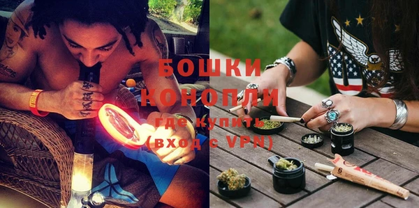 прущие грибы Абинск