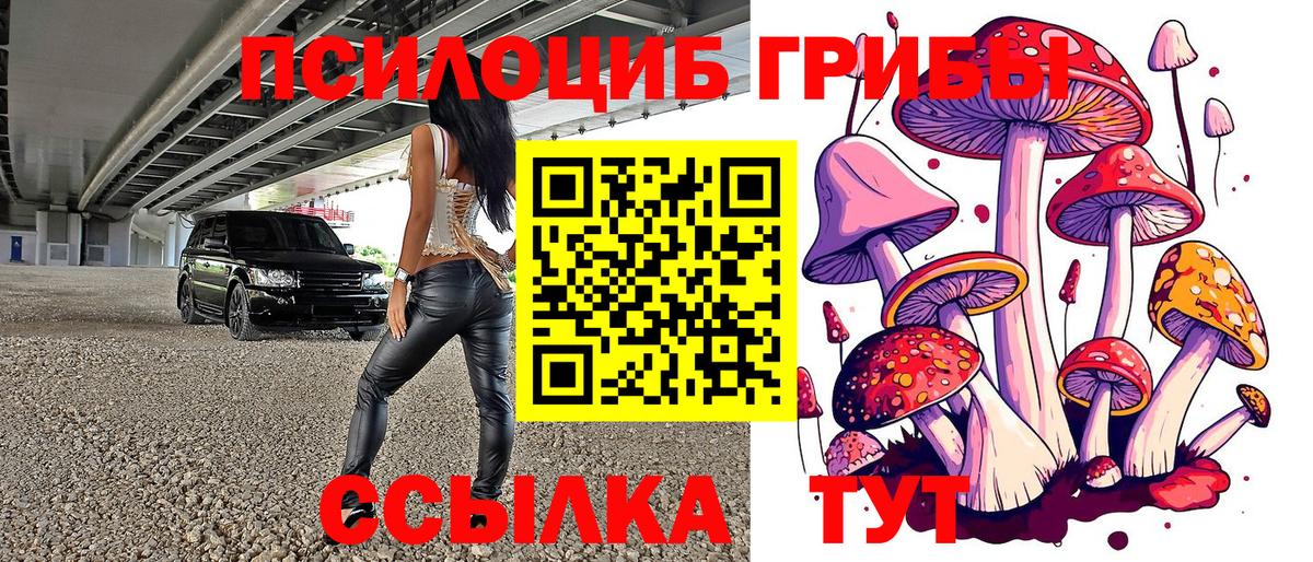 Галлюциногенные грибы GOLDEN TEACHER Азнакаево