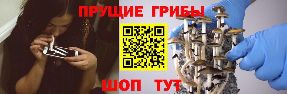 Псилоцибиновые грибы Psilocybe  Вход с VPN  где купить наркотик  Азнакаево 