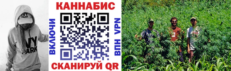 Бошки марихуана индика закладки Азнакаево